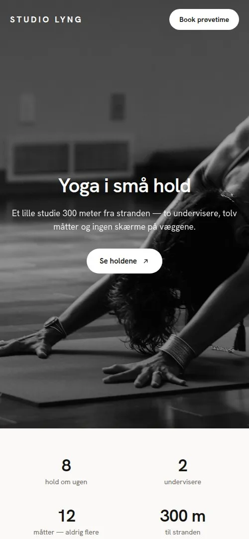 Den samme hjemmeside vist på en telefon
